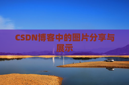 CSDN博客中的图片分享与展示